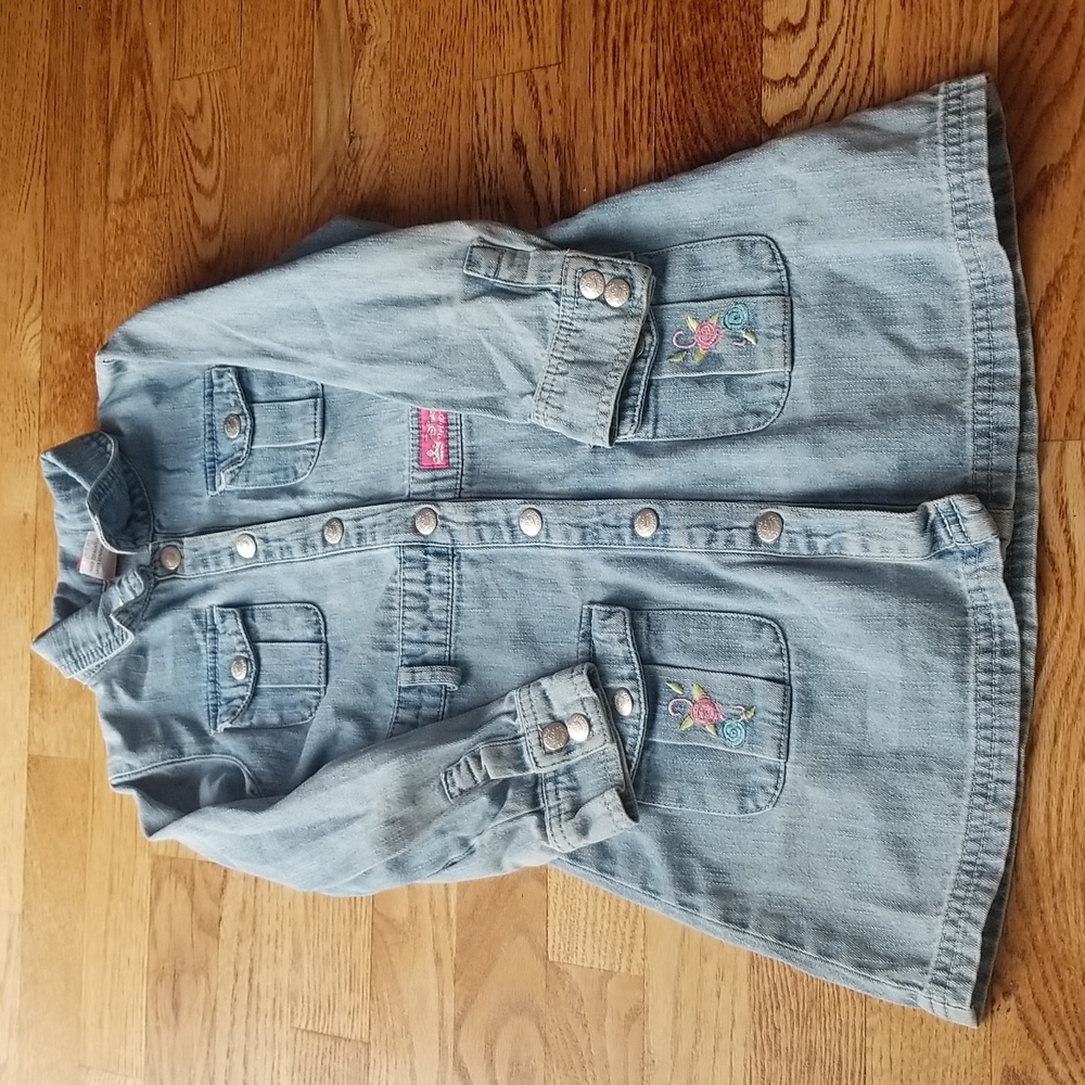(5) Disney Princess Embroidered Denim Dress Casual